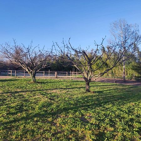 Maison A La Campagne Bouchet  Zewnętrze zdjęcie