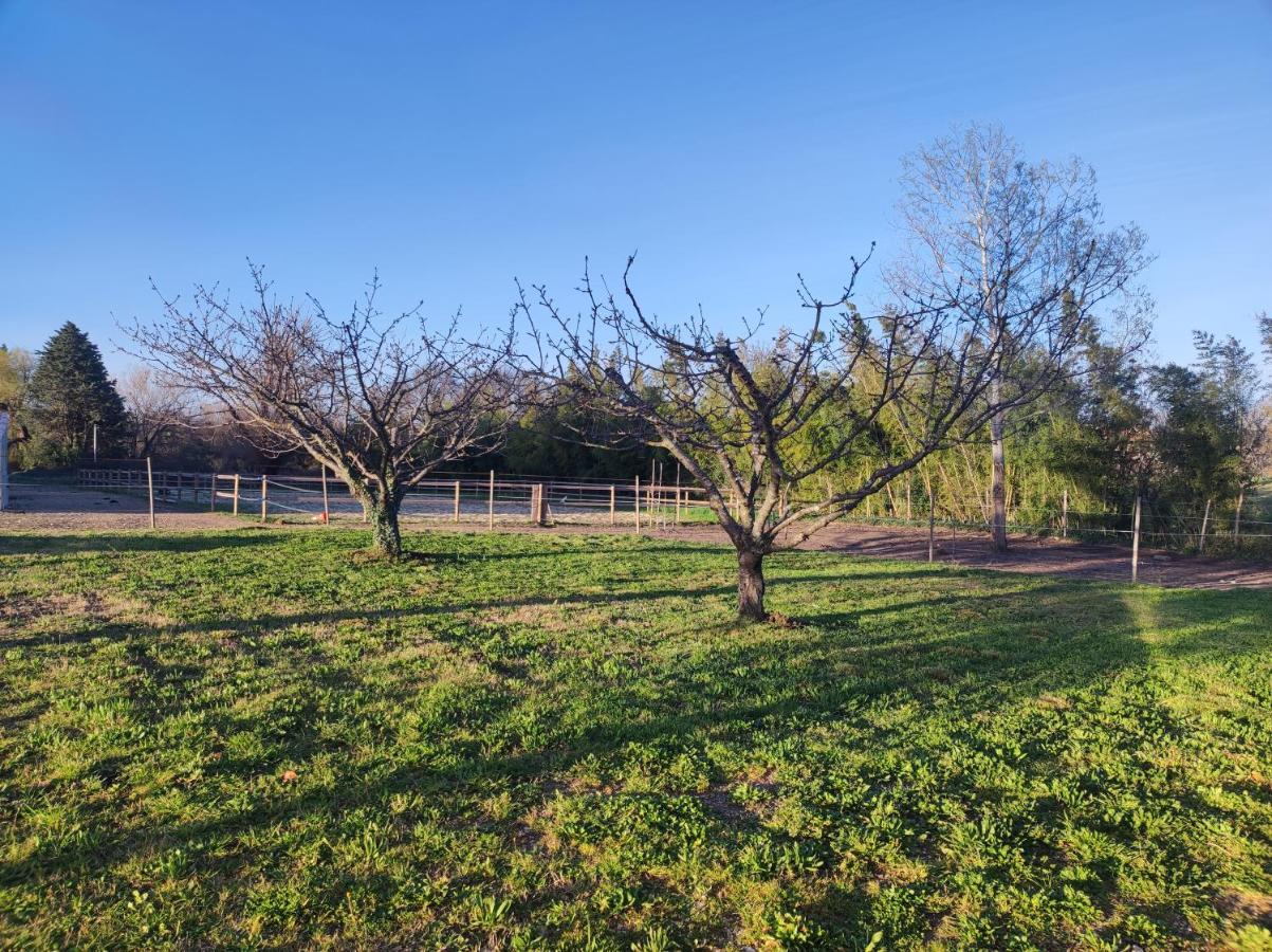Maison A La Campagne Bouchet  Zewnętrze zdjęcie